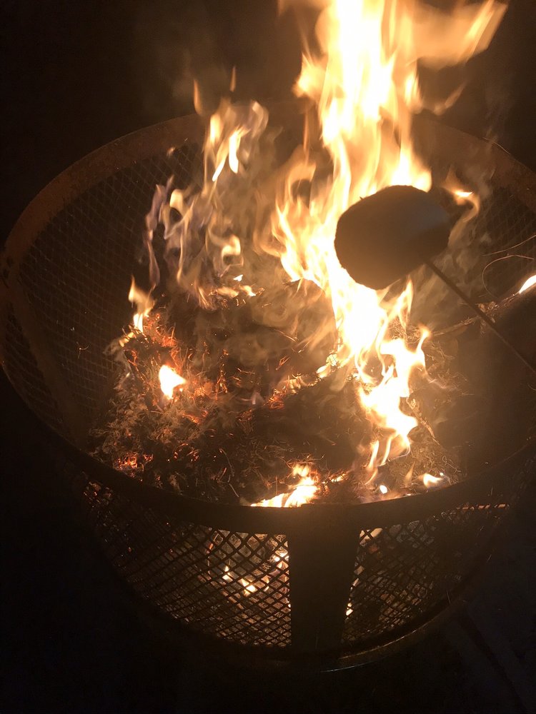 Megan C.'s profile image