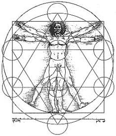 Lou B.'s profile image