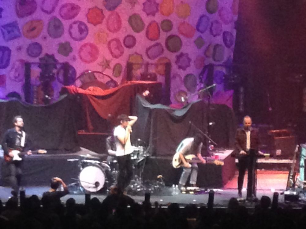 Green D.'s profile image