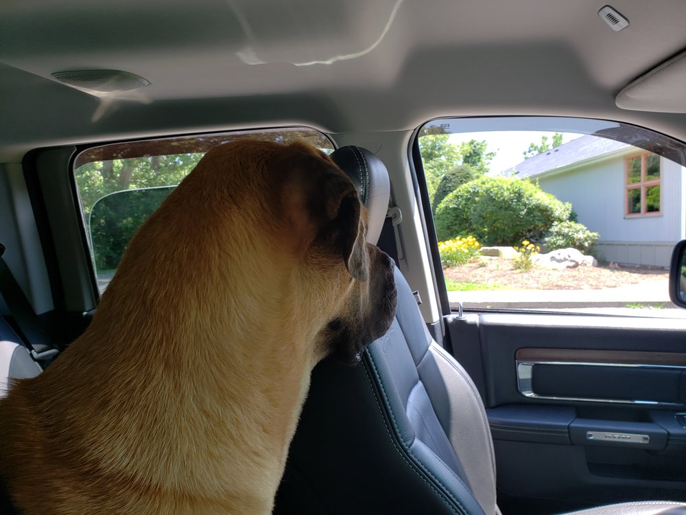 Irene M.'s profile image