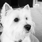 Sue W.'s profile image