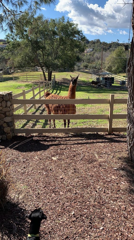 Nicole W.'s profile image