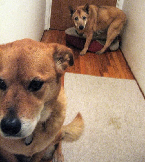 Vance A.'s profile image