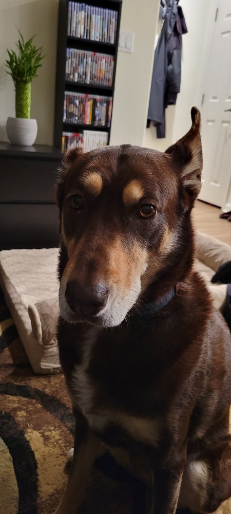 Kona W.'s profile image