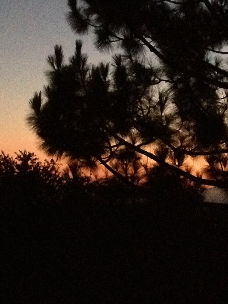 Judi H.'s profile image