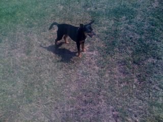 Tona B.'s profile image