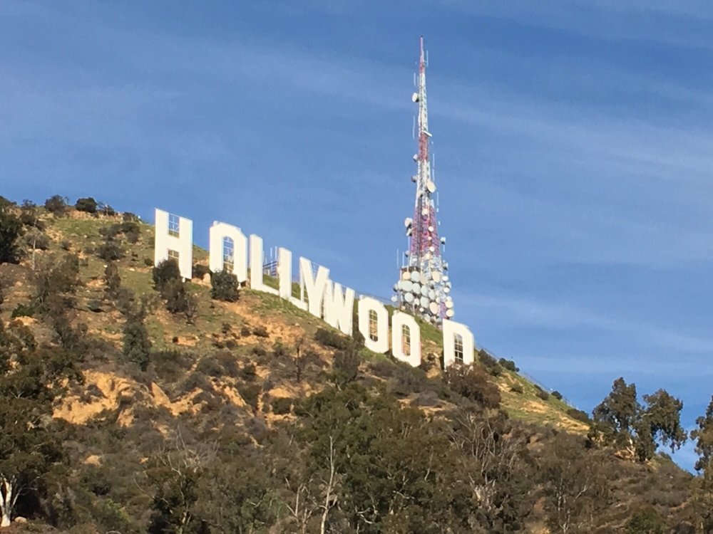 K C.'s profile image