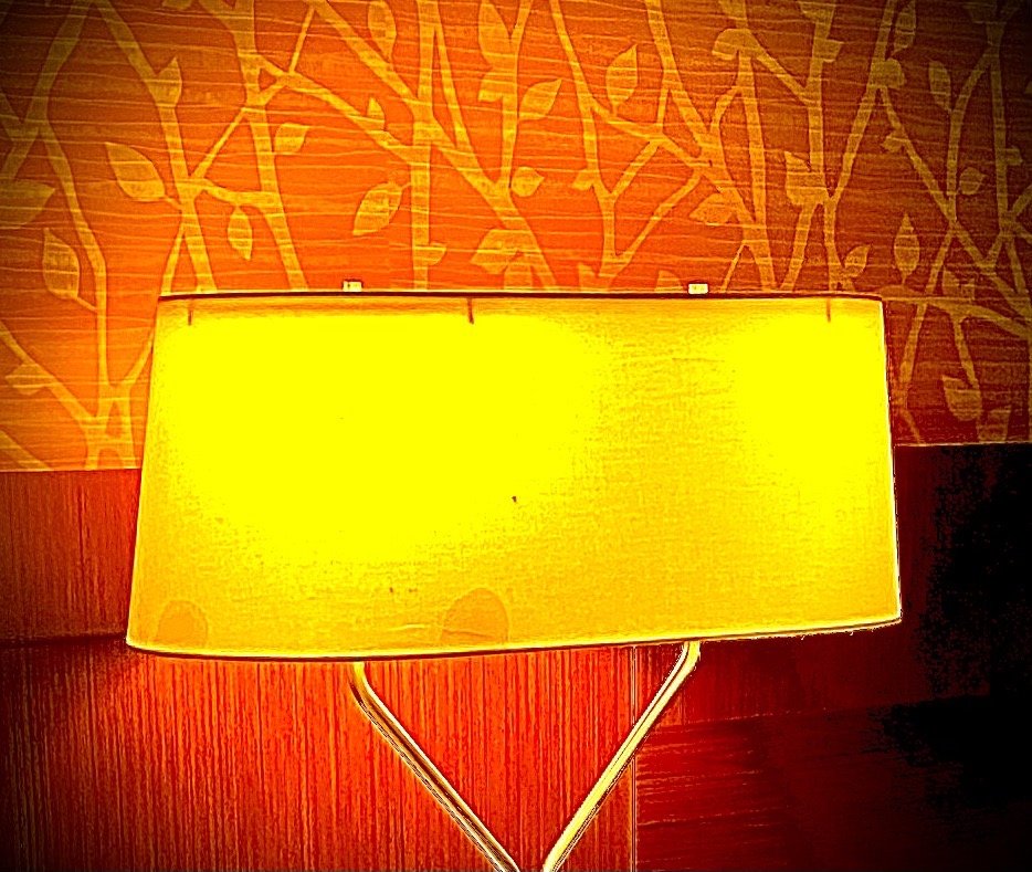 N B.'s profile image