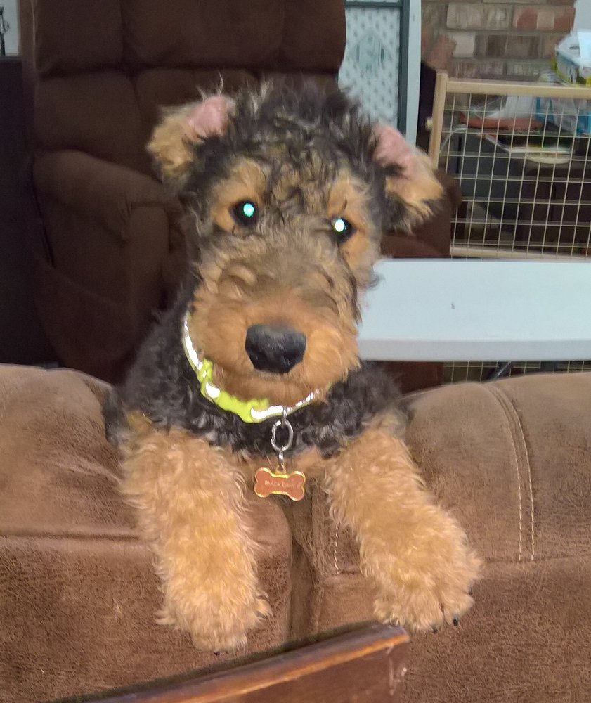 Mary A.'s profile image