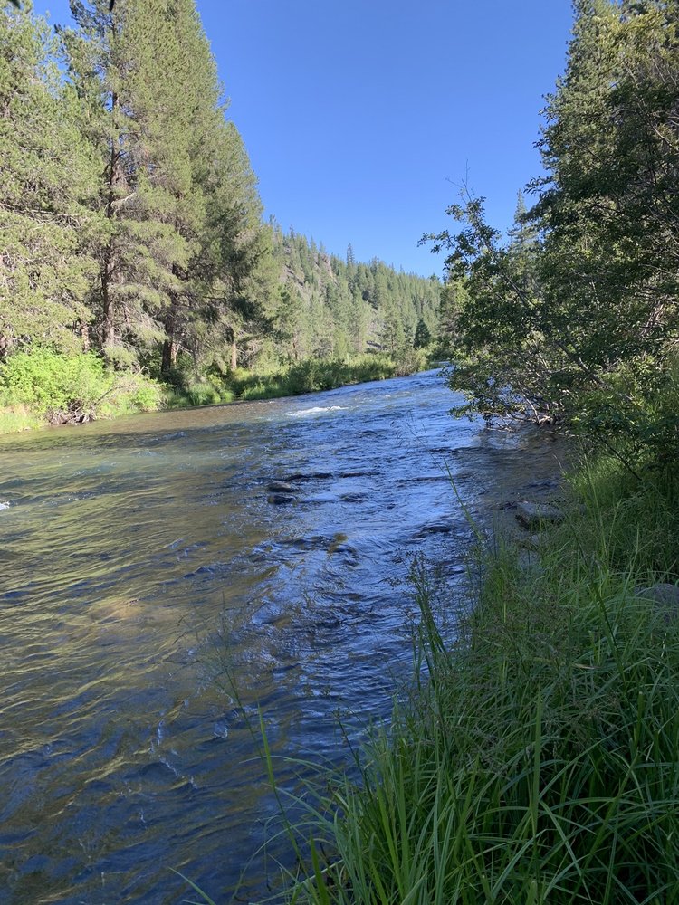 Vinnie P.'s profile image