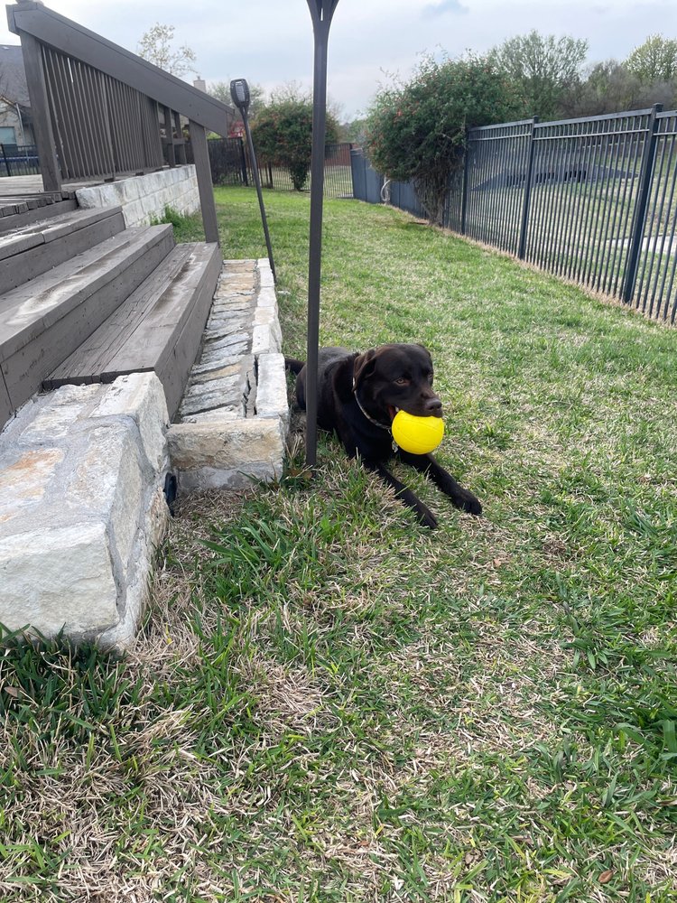 Cheryl V.'s profile image