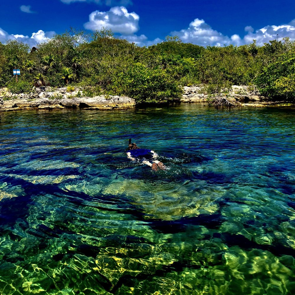 Josh H.'s profile image