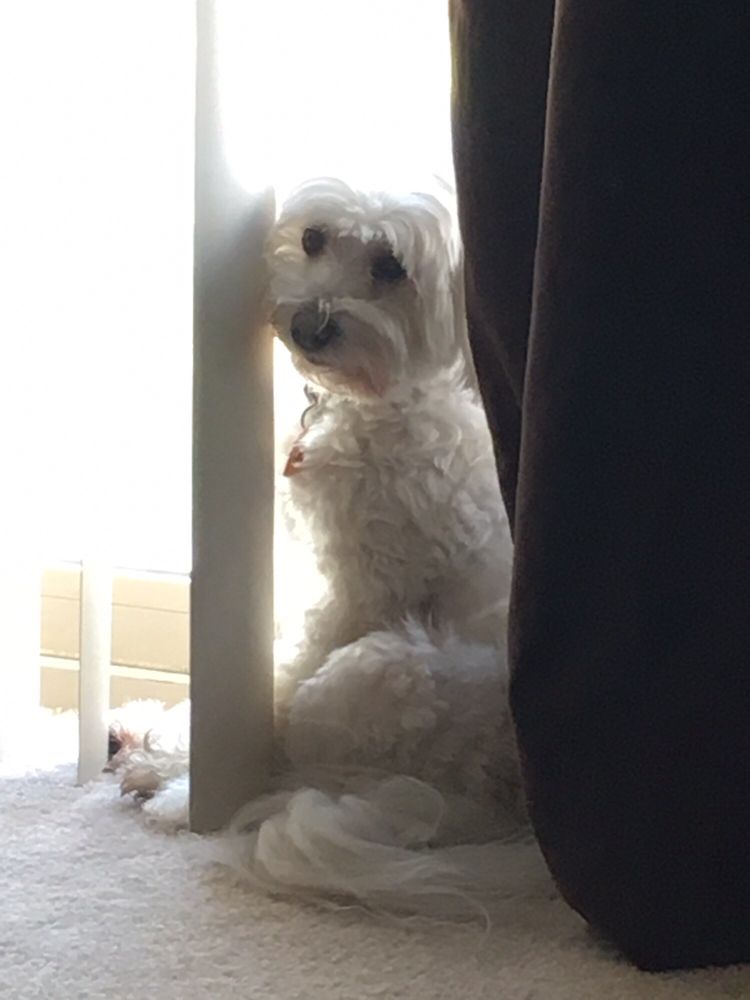 Angie F.'s profile image