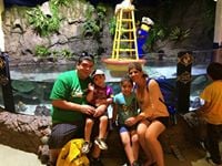 Andrew Kim C.'s profile image