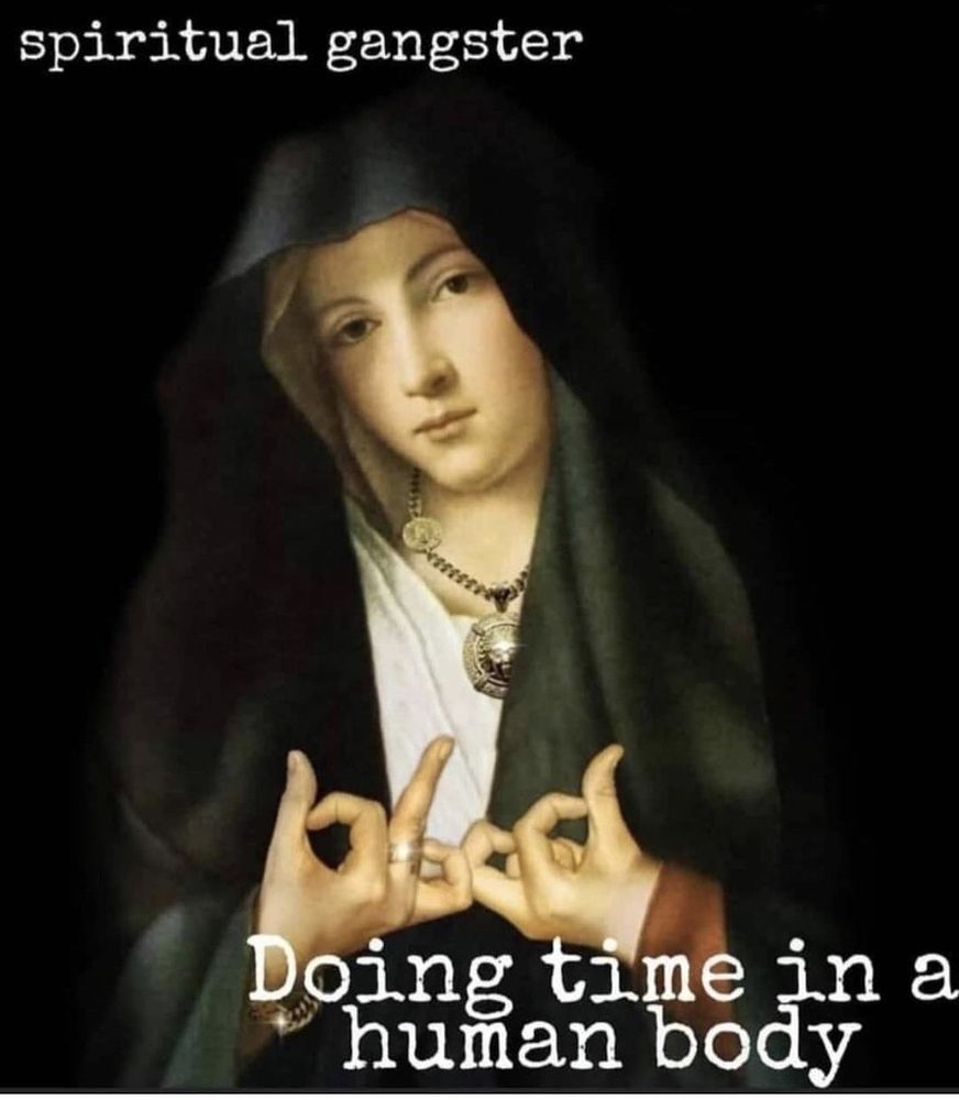 Lucy N.'s profile image