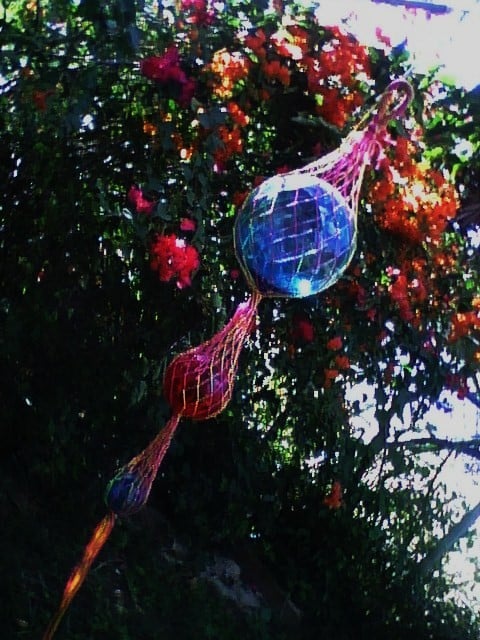 Ulysses K. S.'s profile image