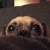 Joe T.'s profile image