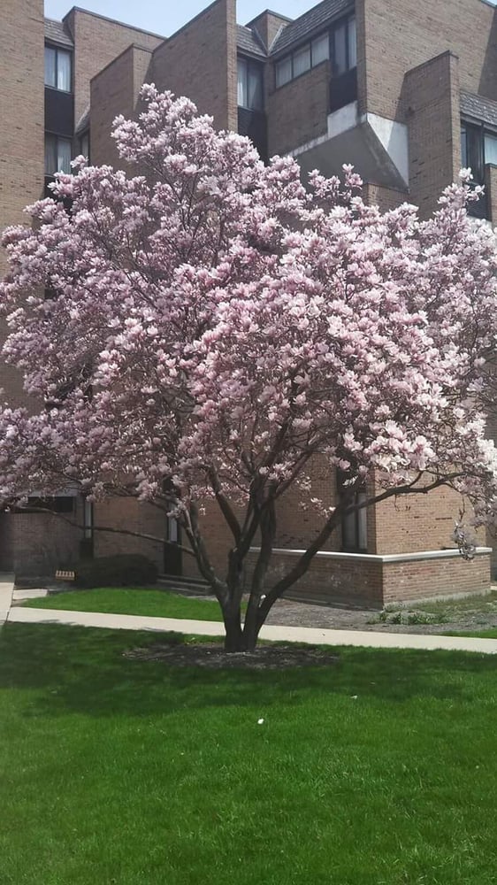 Gretchen S.'s profile image