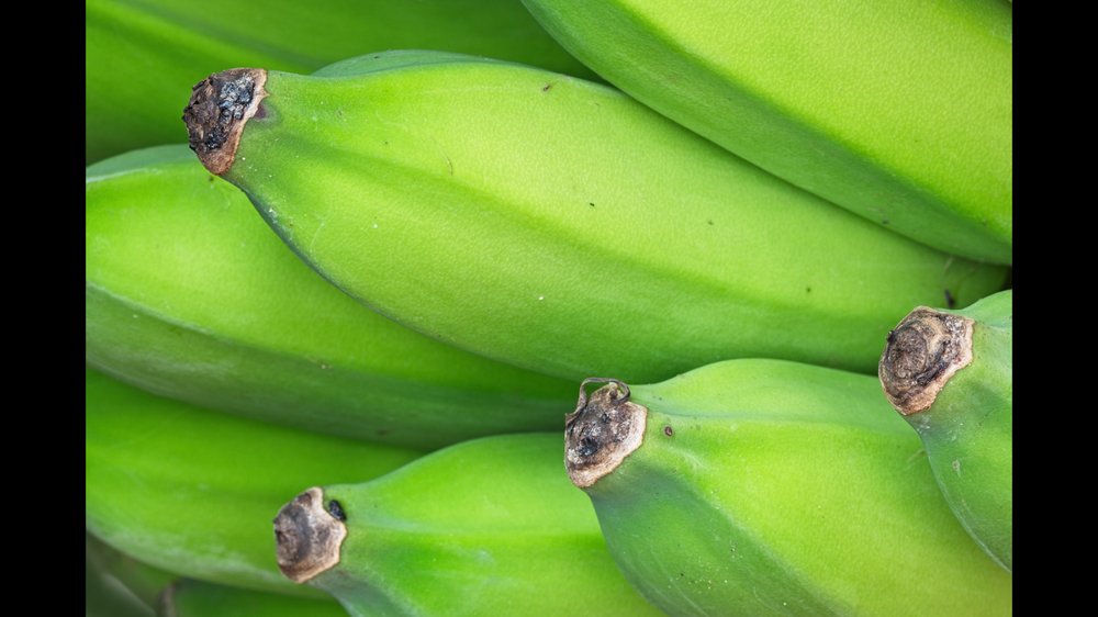 Mike M.'s profile image