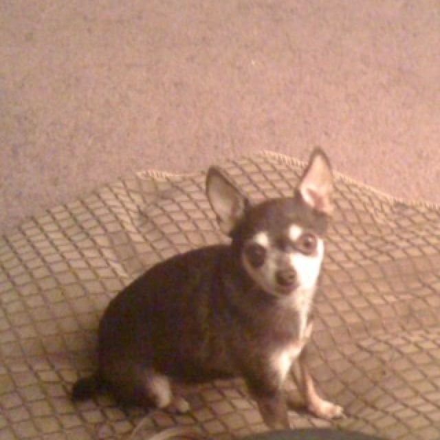 Russ L.'s profile image