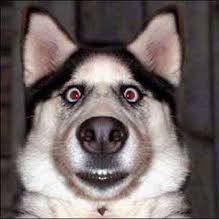 Wayne D.'s profile image