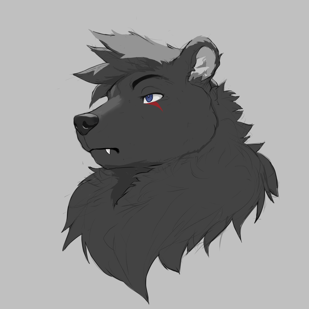 Sasho W.'s profile image