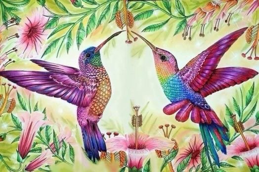 Rocio S.'s profile image