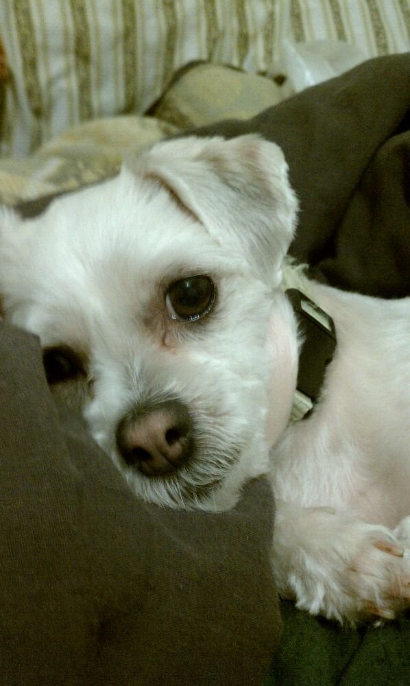 Metris C.'s profile image