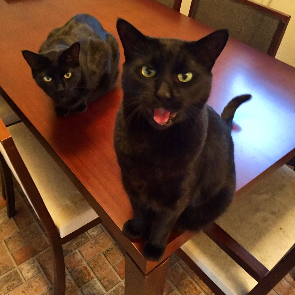 Lara S.'s profile image