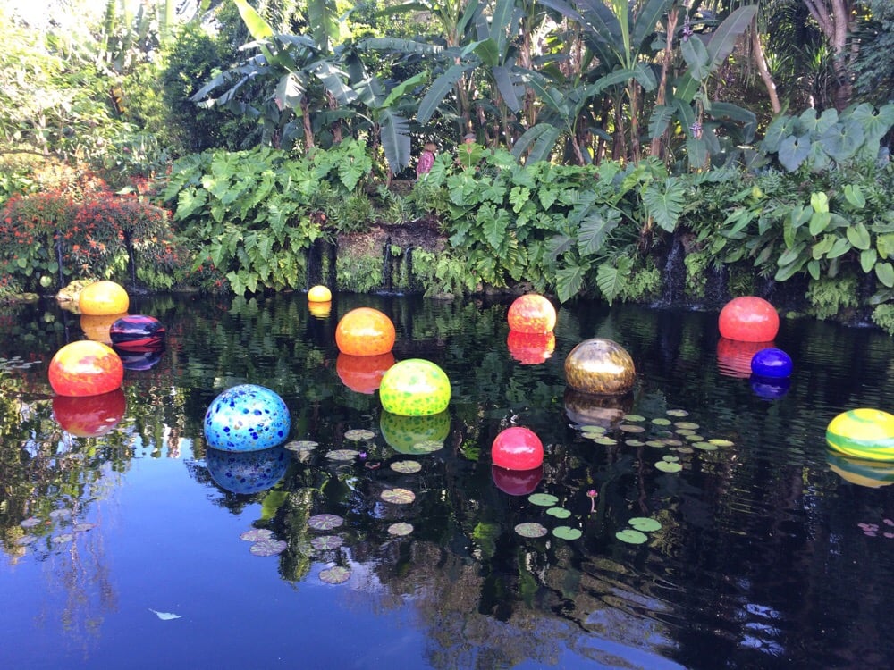 Barbara A.'s profile image