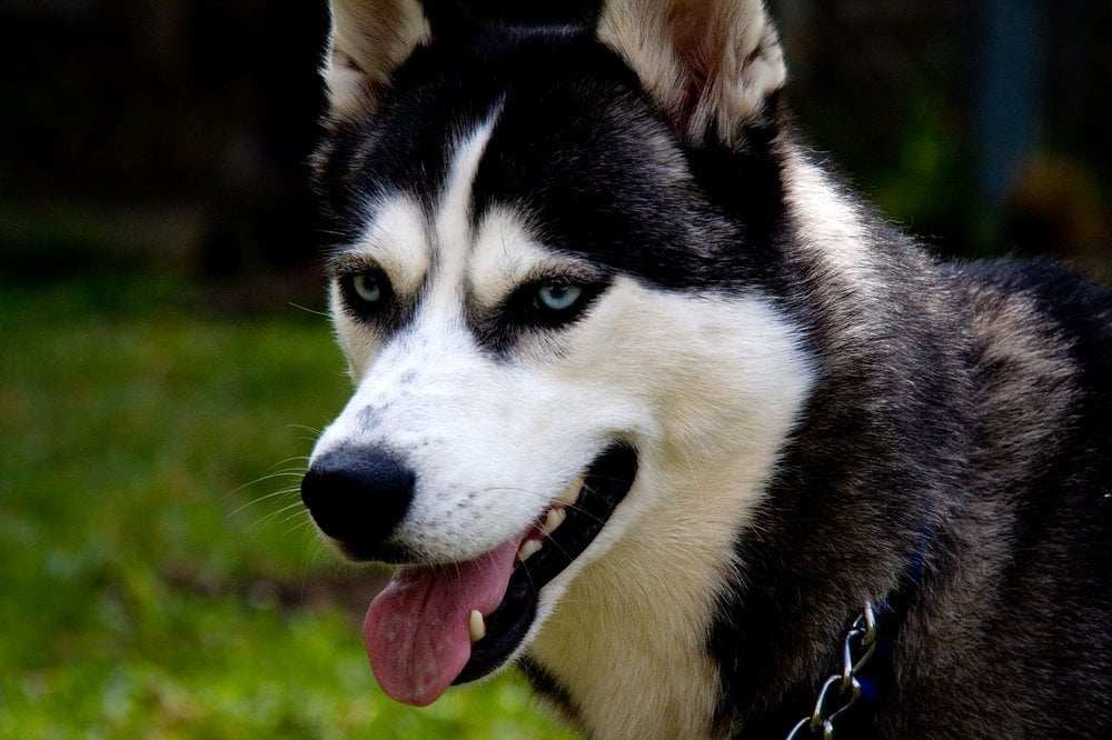 David N.'s profile image