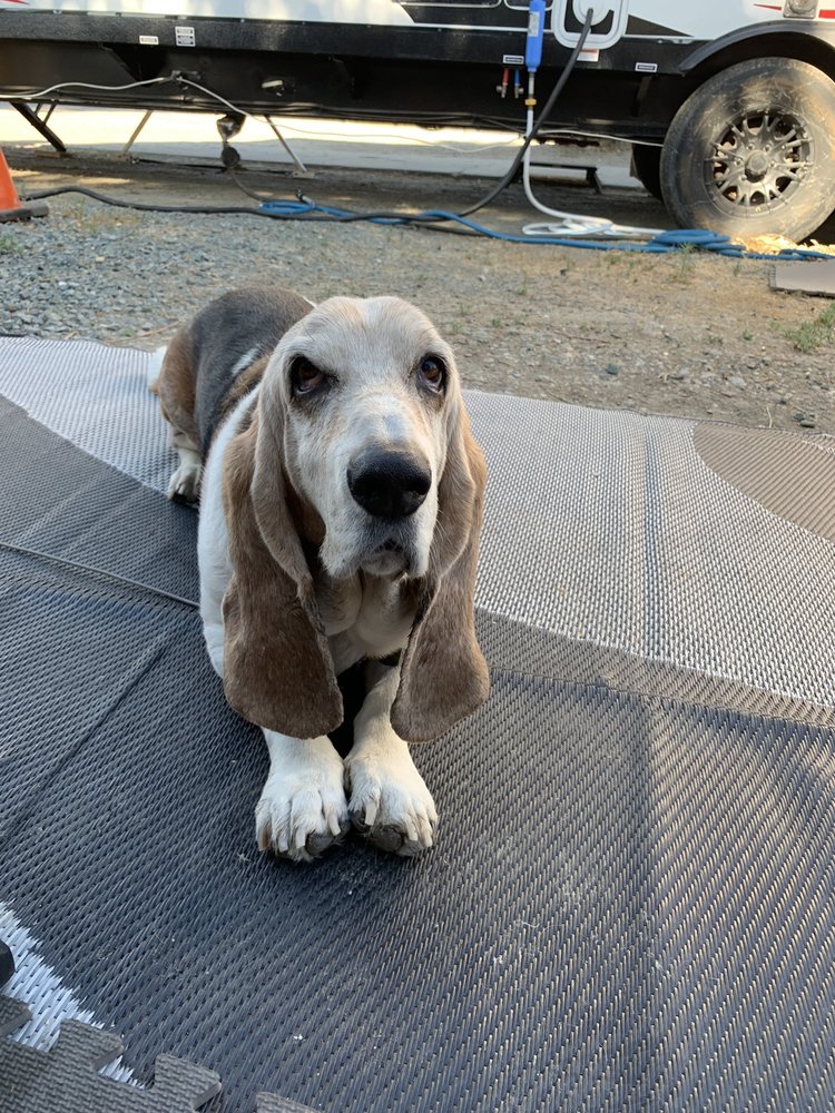 Deborah P.'s profile image