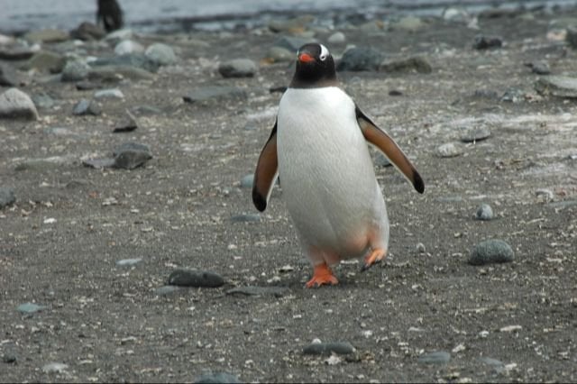 John R.'s profile image