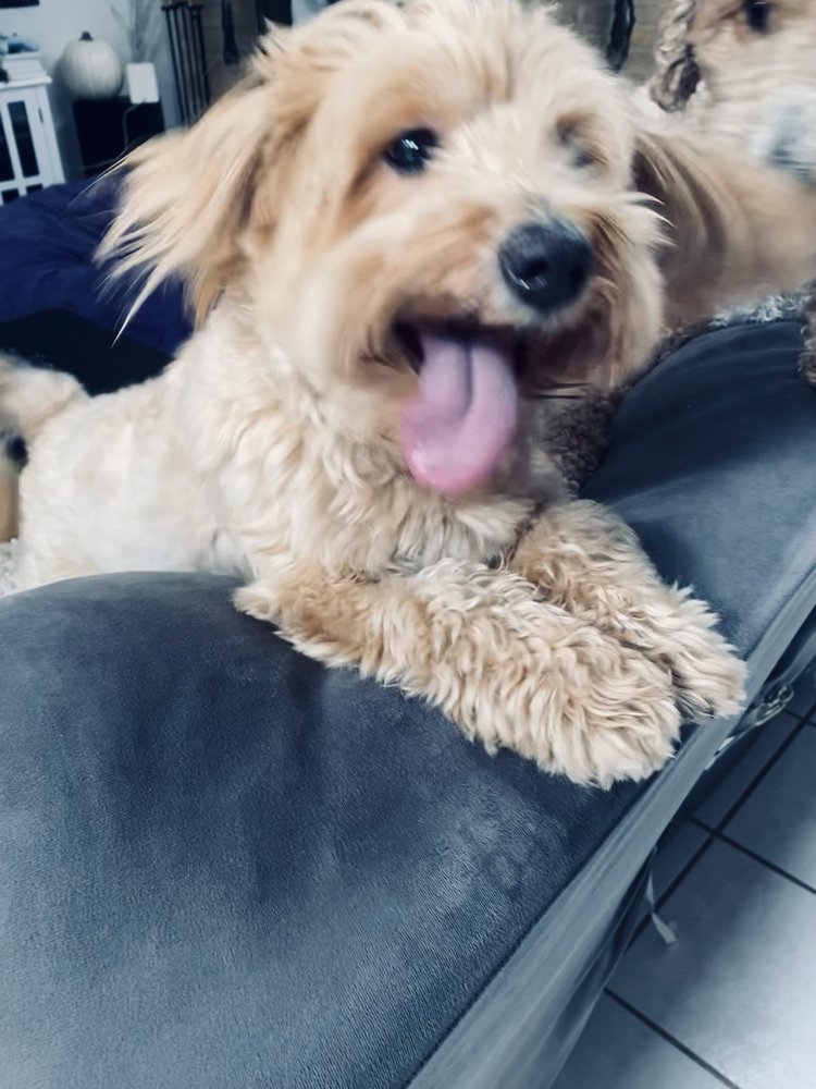 Joanie G.'s profile image