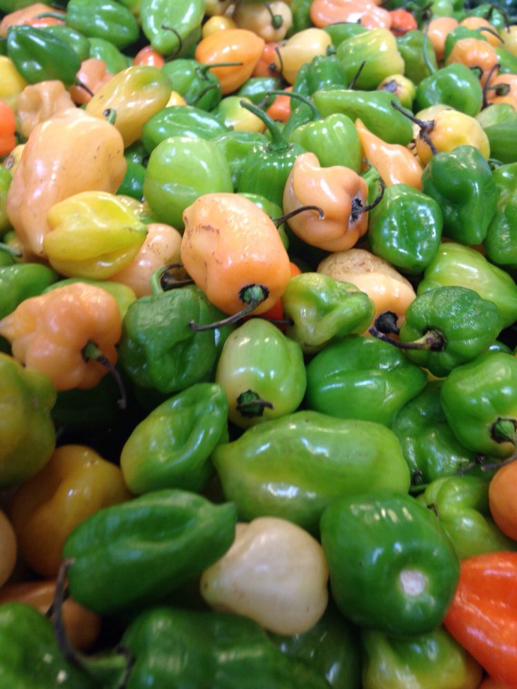 Susan P.'s profile image