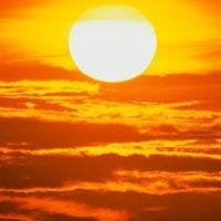 Joe F.'s profile image