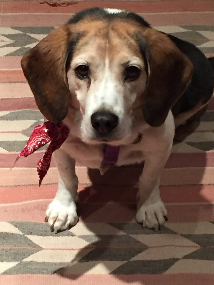 Mary P.'s profile image