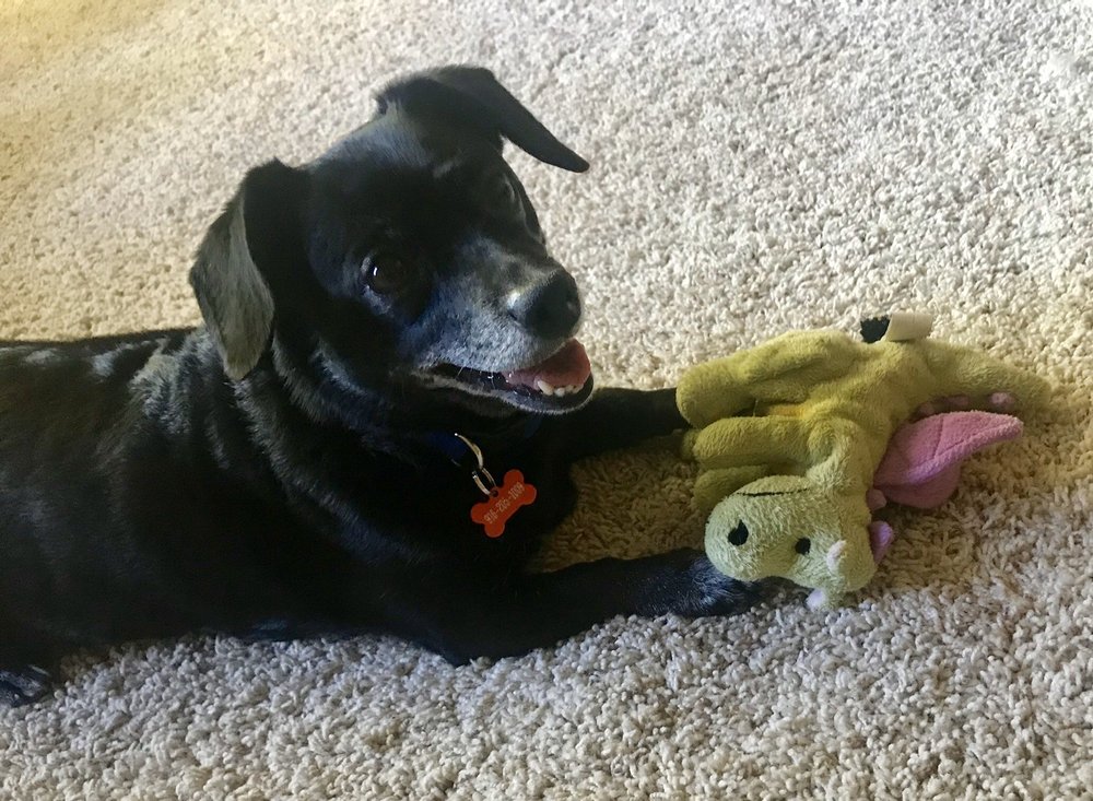 Peggy M.'s profile image