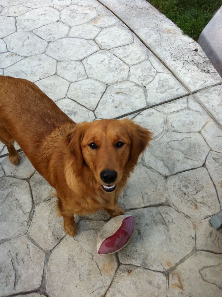 Mary O.'s profile image