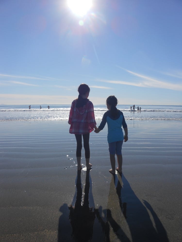 M P.'s profile image