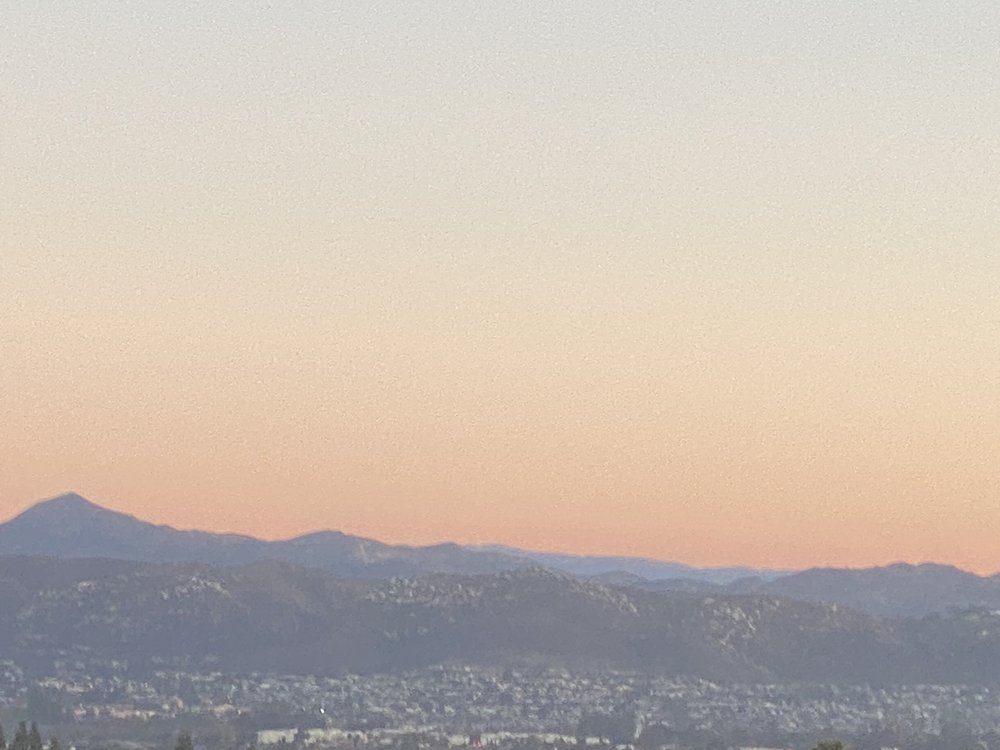 Diane S.'s profile image