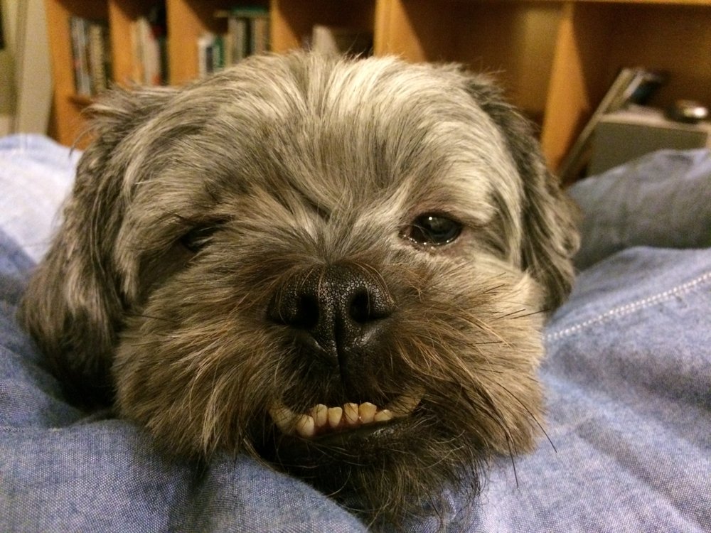 Stephanie M.'s profile image