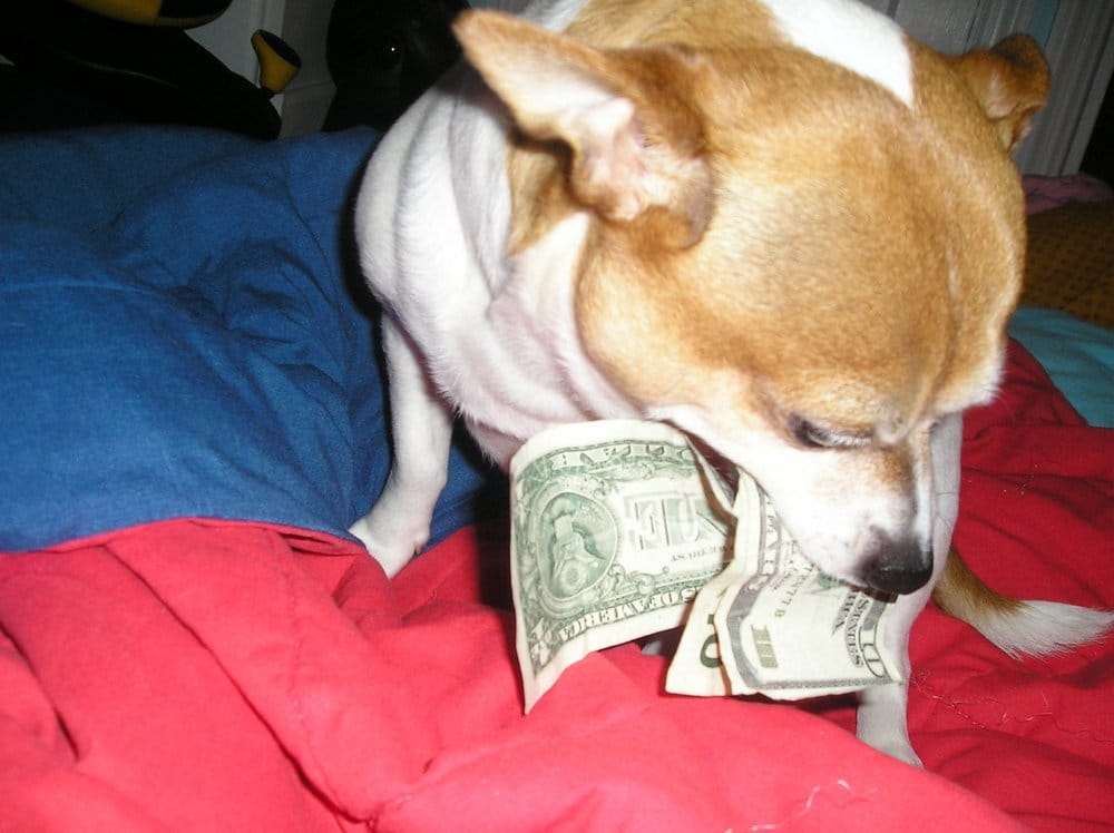 Jonathan L.'s profile image