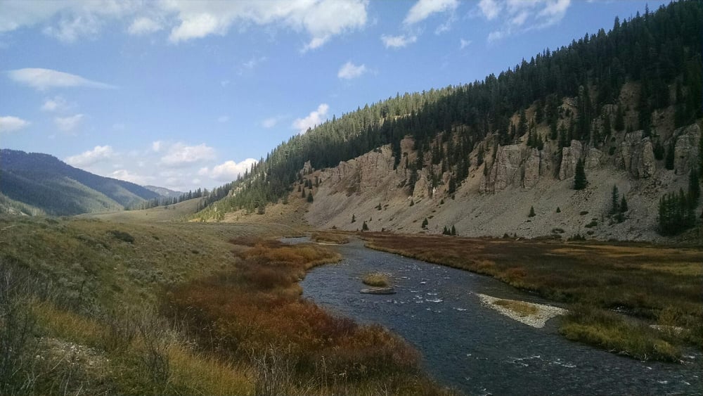 Christopher M.'s profile image