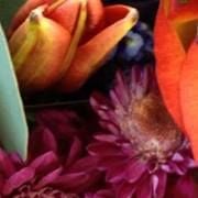 Therese N.'s profile image