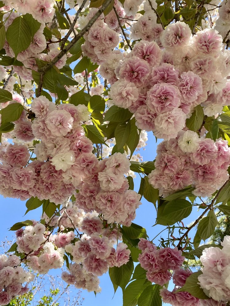 Jackie B.'s profile image