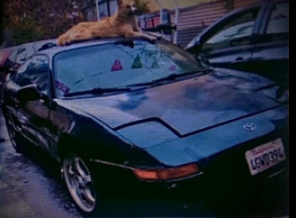 Armado E.'s profile image