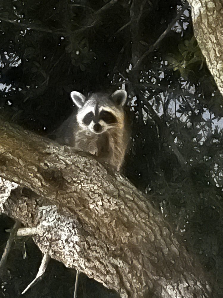 G H.'s profile image