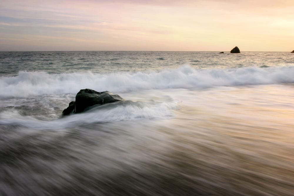 Jay T.'s profile image