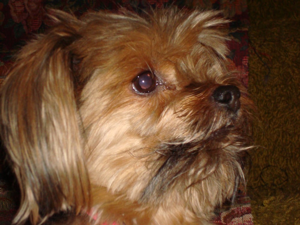 KB E.'s profile image